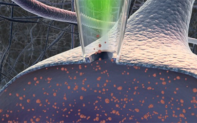 未來(lái)領(lǐng)袖