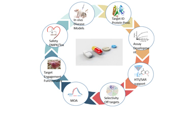 未來(lái)金融家